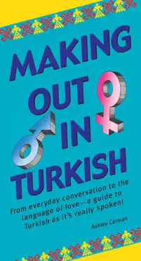 making out in turkish book cover image