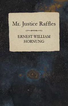 mr. justice raffles book cover image