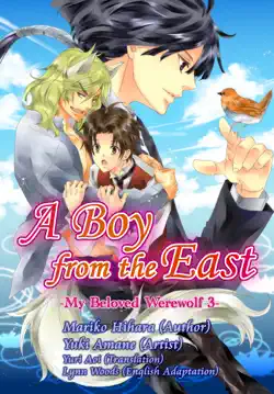 a boy from the east book cover image