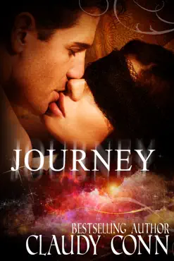 journey book cover image