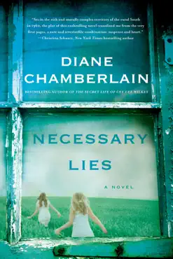 necessary lies book cover image