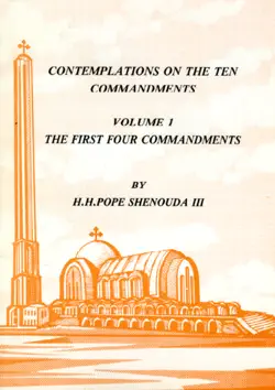 contemplations on the ten commandments vol. 1 book cover image