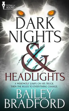 dark nights and headlights book cover image