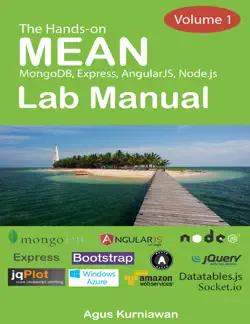 the hands-on mean lab manual, volume 1 book cover image