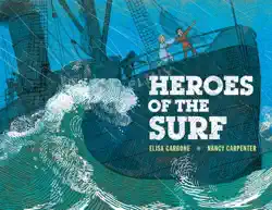 heroes of the surf book cover image