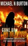Gone Up In Flames synopsis, comments
