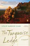 The Turquoise Ledge synopsis, comments