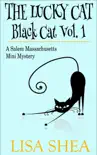 The Lucky Cat - Black Cat Vol. 1 - A Salem Massachusetts Mini Mystery synopsis, comments