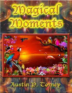 magical moments book cover image