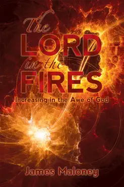 the lord in the fires book cover image