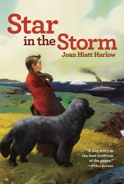 star in the storm book cover image