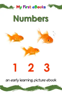 numbers book cover image