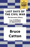 Last Days of the Civil War synopsis, comments