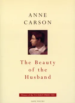 the beauty of the husband imagen de la portada del libro