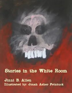 stories in the white room book cover image