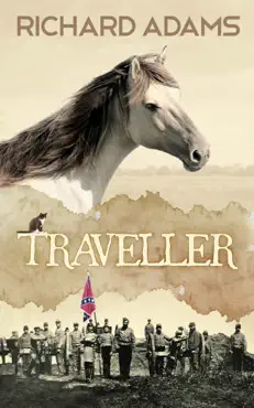 traveller book cover image