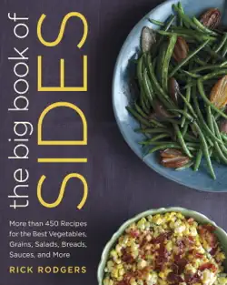 the big book of sides book cover image