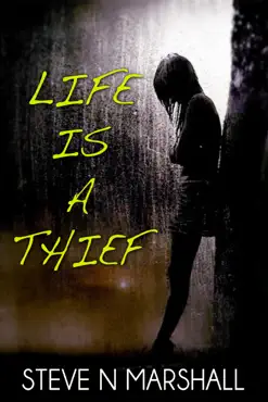 life is a thief book cover image