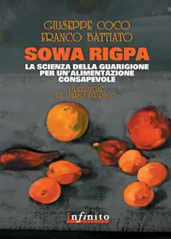 sowa rigpa book cover image