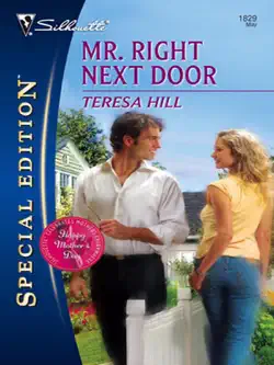 mr. right next door book cover image