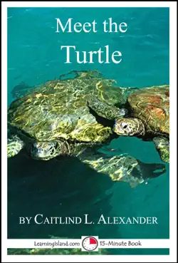 meet the turtle: a 15-minute book for early readers imagen de la portada del libro
