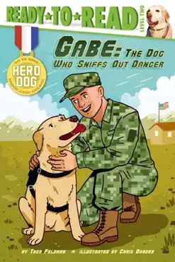 gabe book cover image