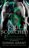 Soul Scorched synopsis, comments