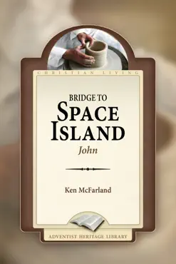 bridge to space island book cover image
