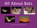 All About Bats reviews