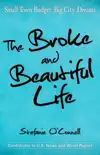 The Broke and Beautiful Life synopsis, comments