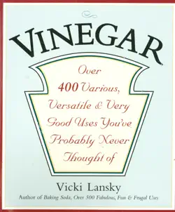 vinegar book cover image
