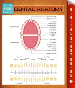 dental anatomy book cover image
