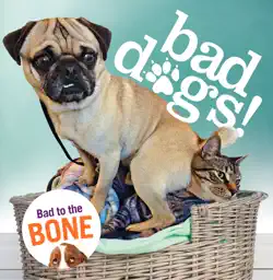 bad dogs imagen de la portada del libro