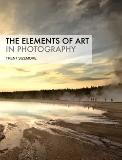 the elements of art in photography book cover image