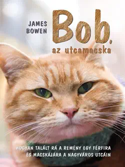 bob, az utcamacska book cover image