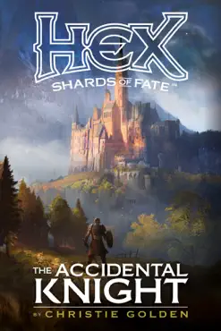 the accidental knight book cover image