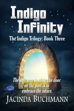 indigo infinity book cover image