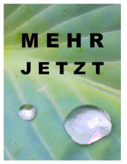 mehr jetzt book cover image