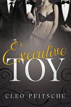 executive toy book cover image