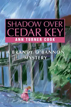 shadow over cedar key imagen de la portada del libro