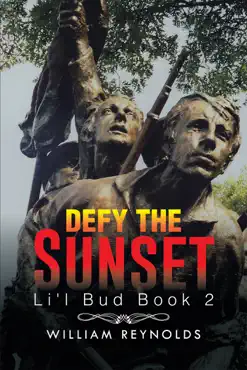 defy the sunset imagen de la portada del libro