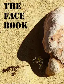 the face book book cover image