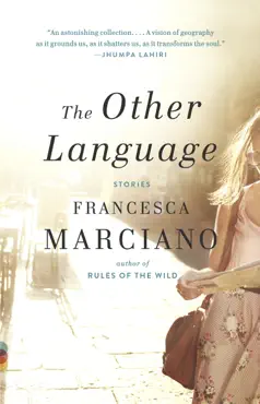 the other language book cover image