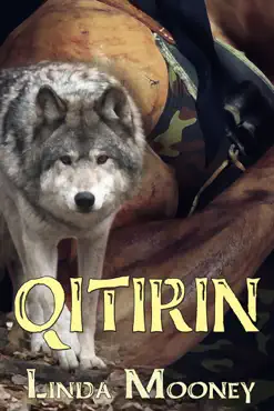 qitirin book cover image