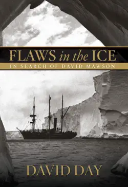 flaws in the ice book cover image