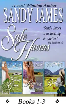 safe havens bundle book cover image