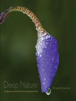 deep nature book cover image