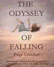 The Odyssey of Falling synopsis, comments