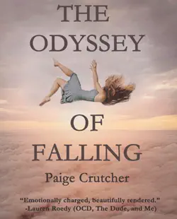 the odyssey of falling book cover image