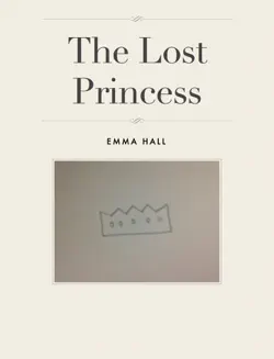 the lost princess book cover image